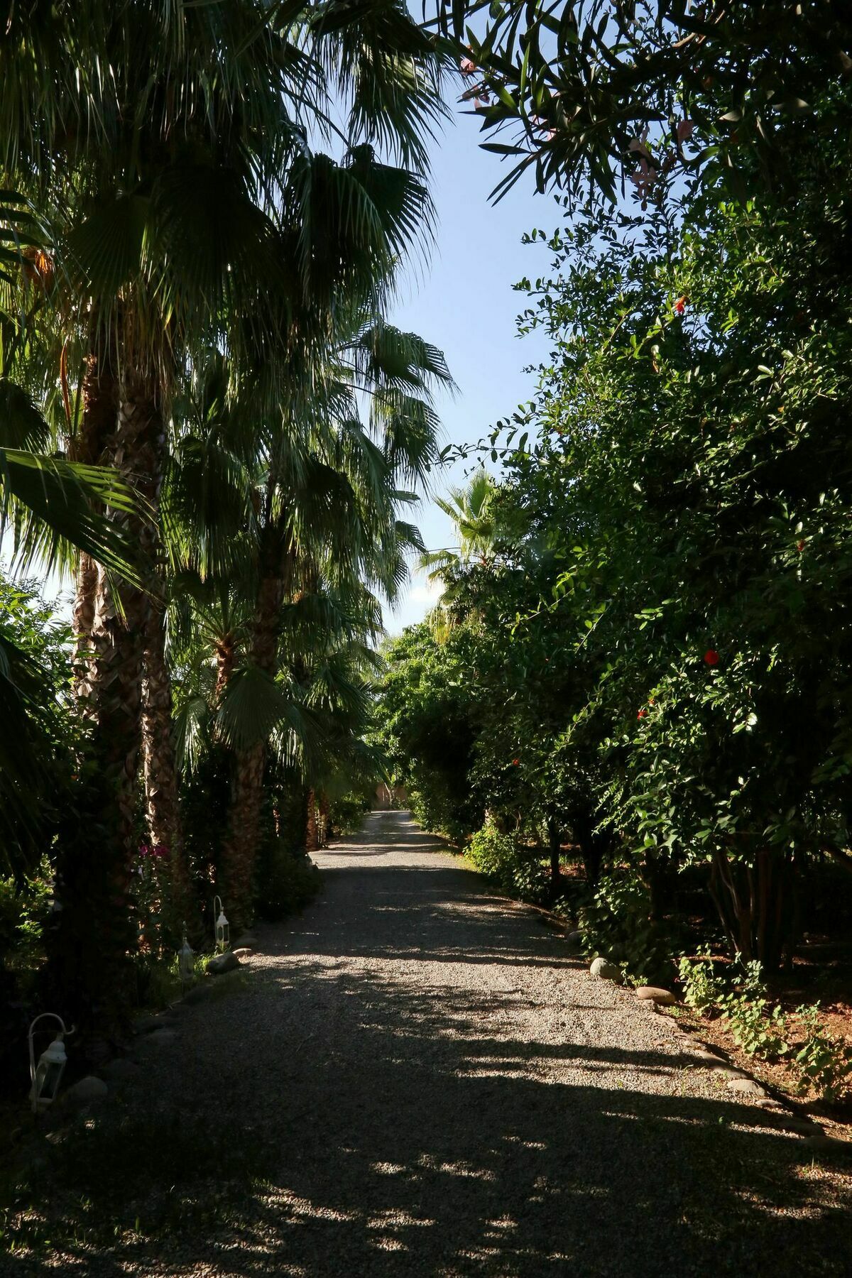 Le Bled Ferme Lahebichate Exterior foto